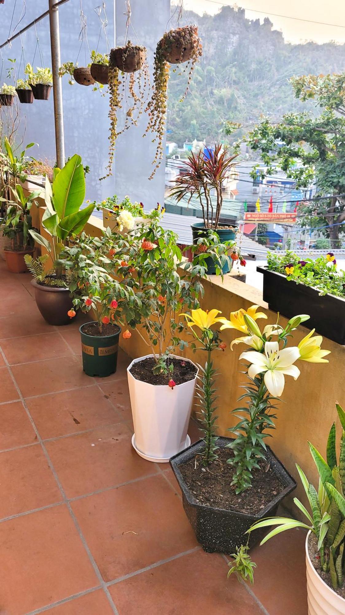 Hotel Tiny Garden House Cat Ba Chan Chau Exterior foto