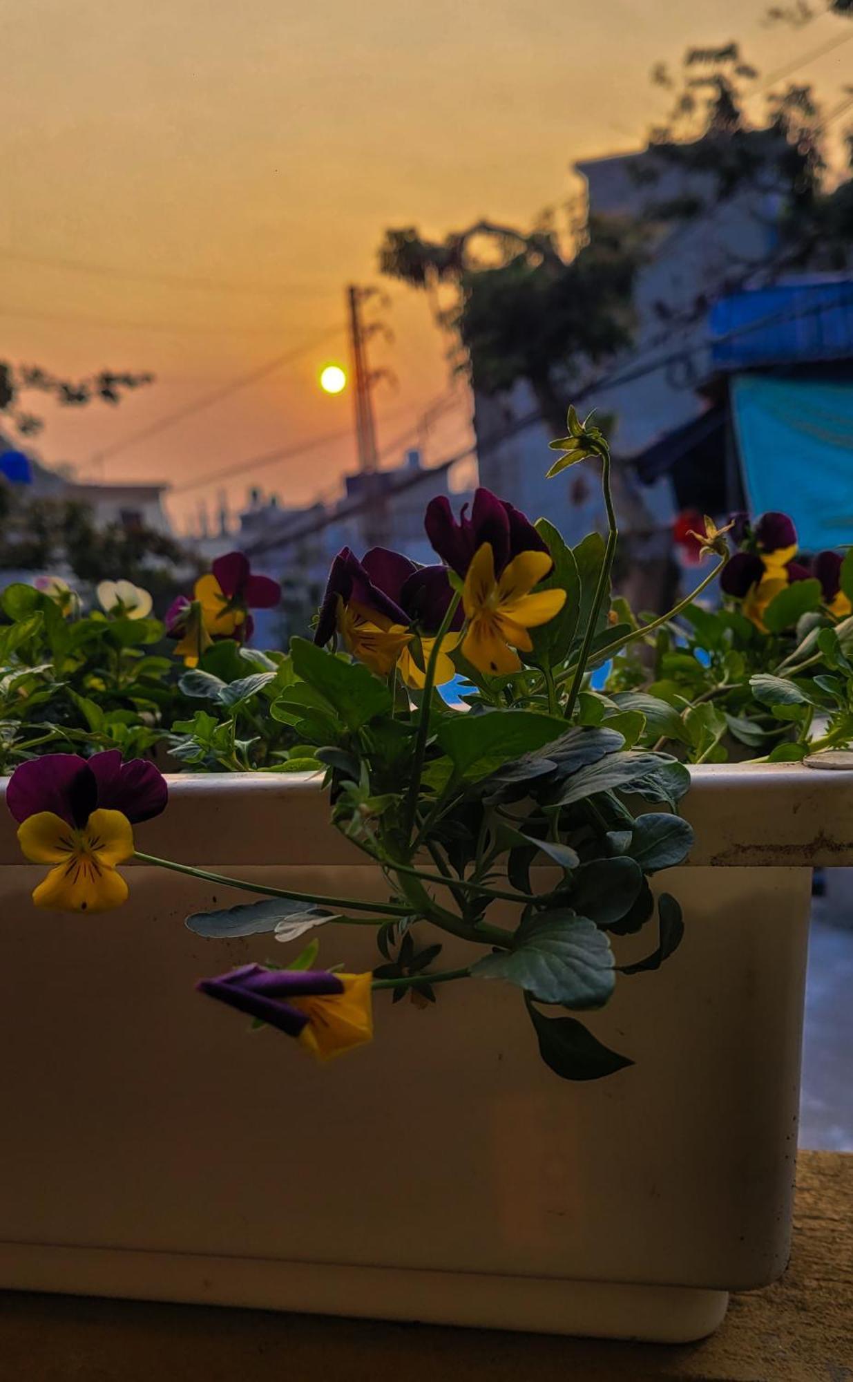 Hotel Tiny Garden House Cat Ba Chan Chau Exterior foto