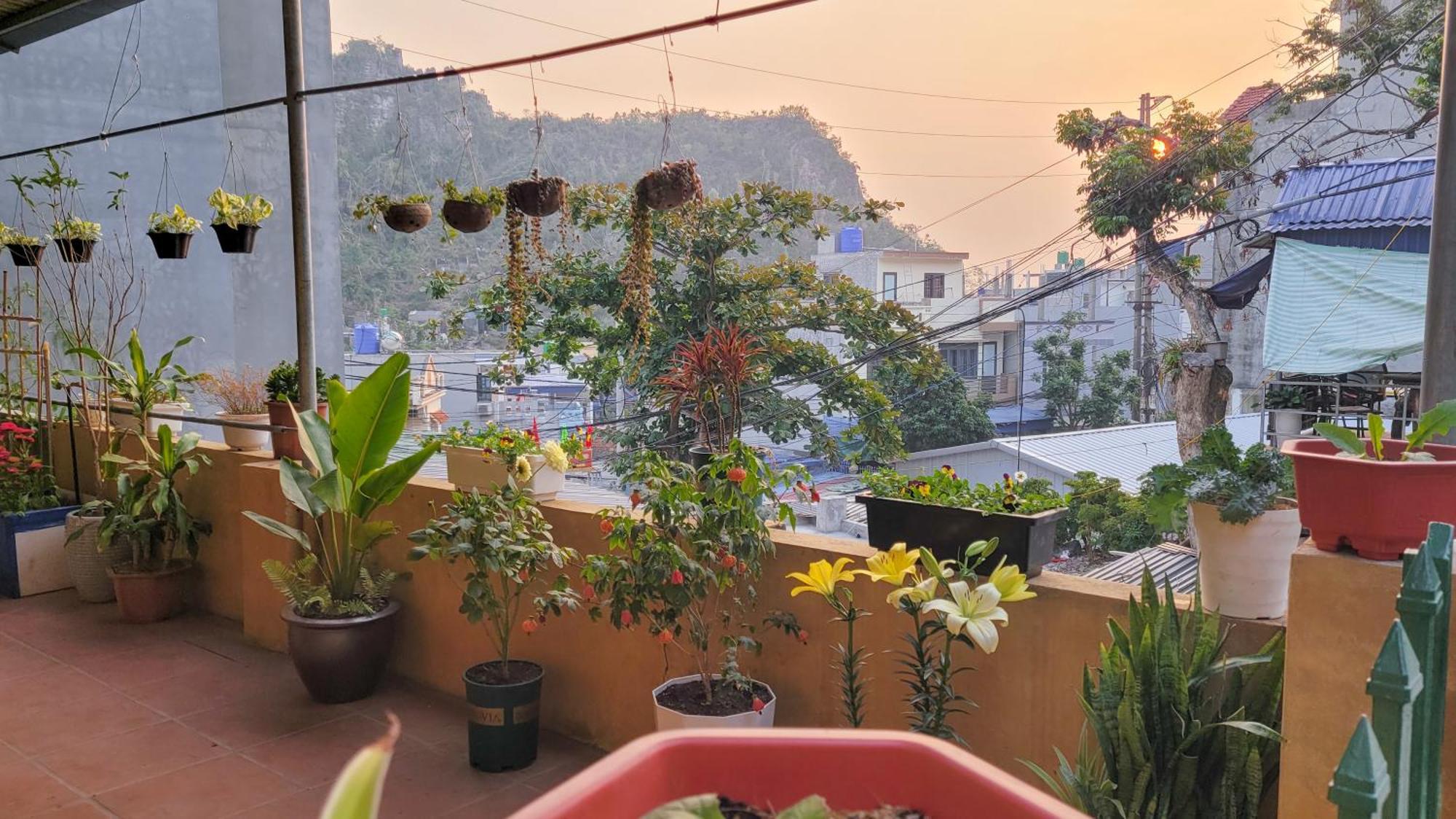 Hotel Tiny Garden House Cat Ba Chan Chau Exterior foto